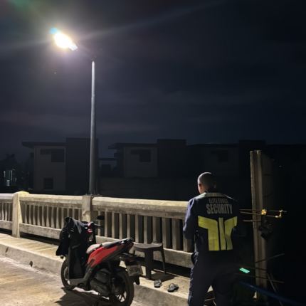 MILIO | 30W Solar Street Light