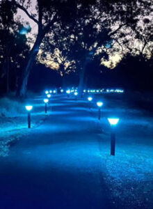 ATLAS | IK10 Pro Solar Bollard Light