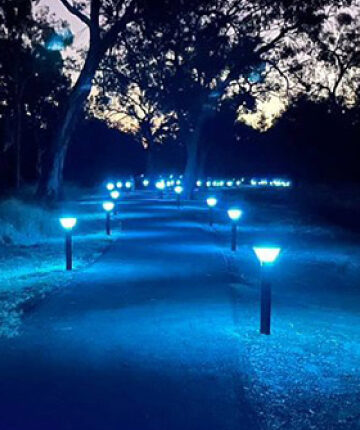 ATLAS | IK10 Pro Solar Bollard Light