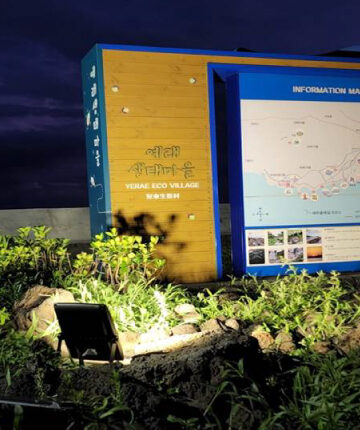 V4 | 1480lm Solar Powered Flood Light